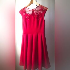 Ted baker cute dress